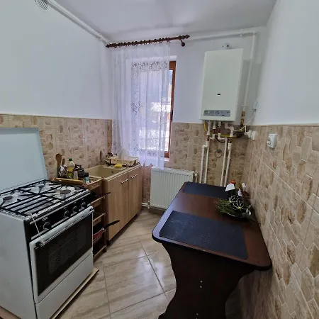 דירה Apartamentul Florilor De Fan