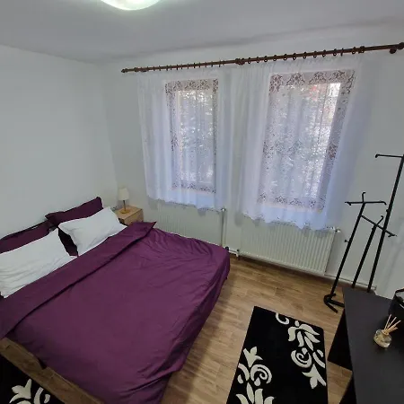 דירה Apartamentul Florilor De Fan אזוגה