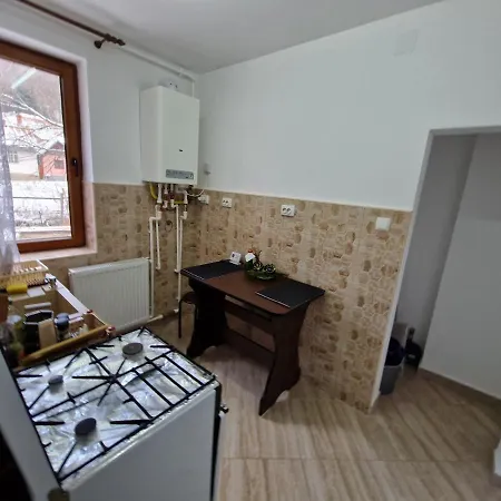 דירה Apartamentul Florilor De Fan אזוגה
